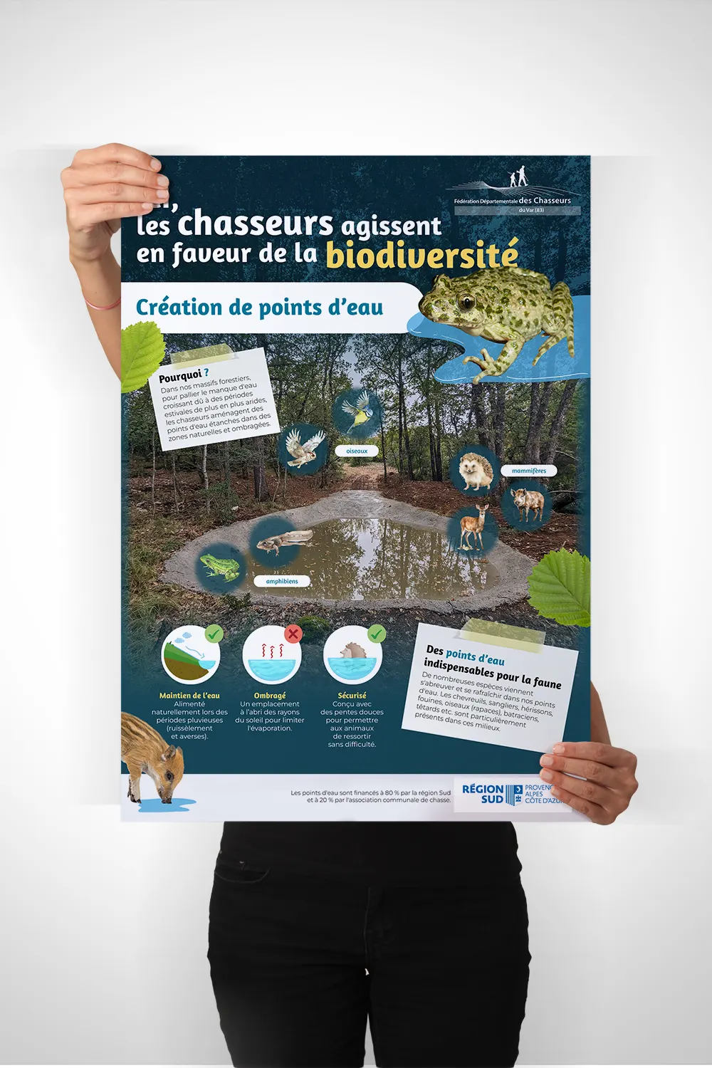 Projet Illustration avec Pictogramme pour une affiche