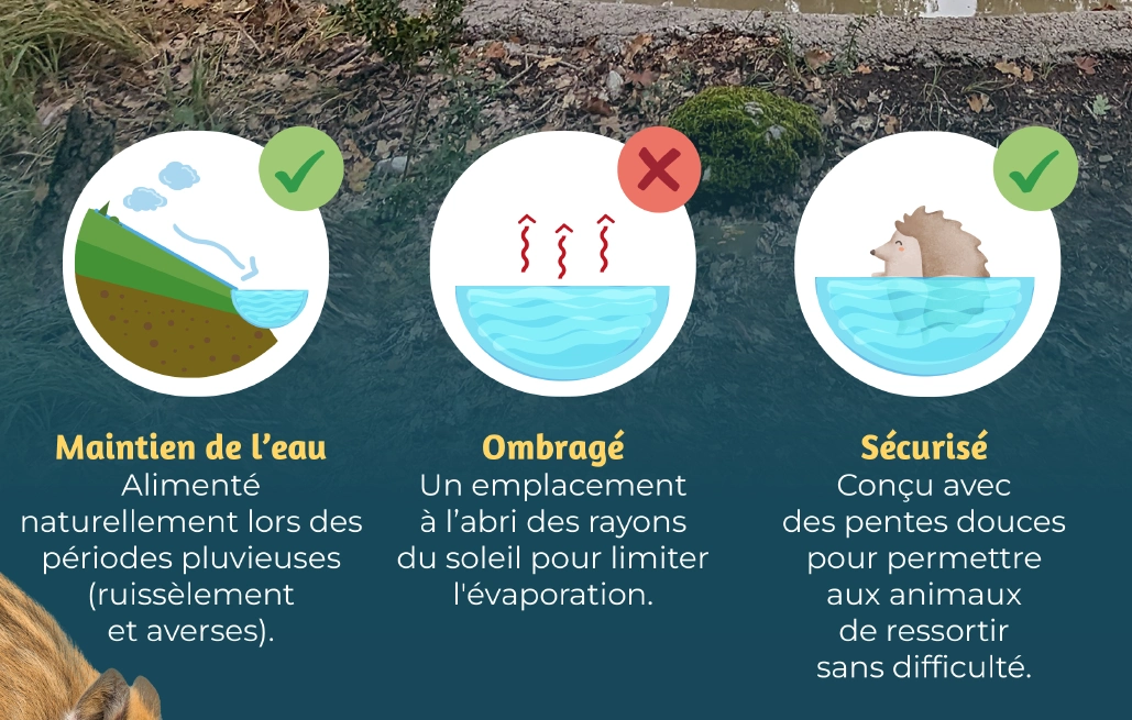  Projet federation-departementale-des-chasseurs-du-var-83 